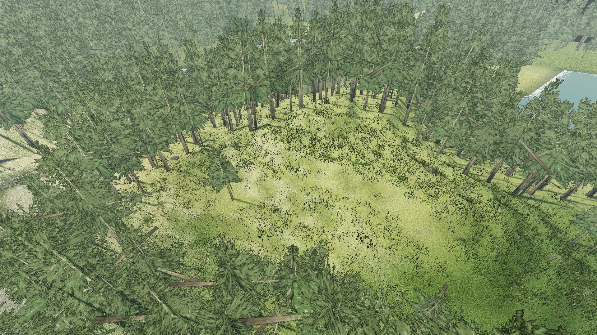 In-game capture (Med quality): aerial view of a forest clearing and conifers, HUD hidden