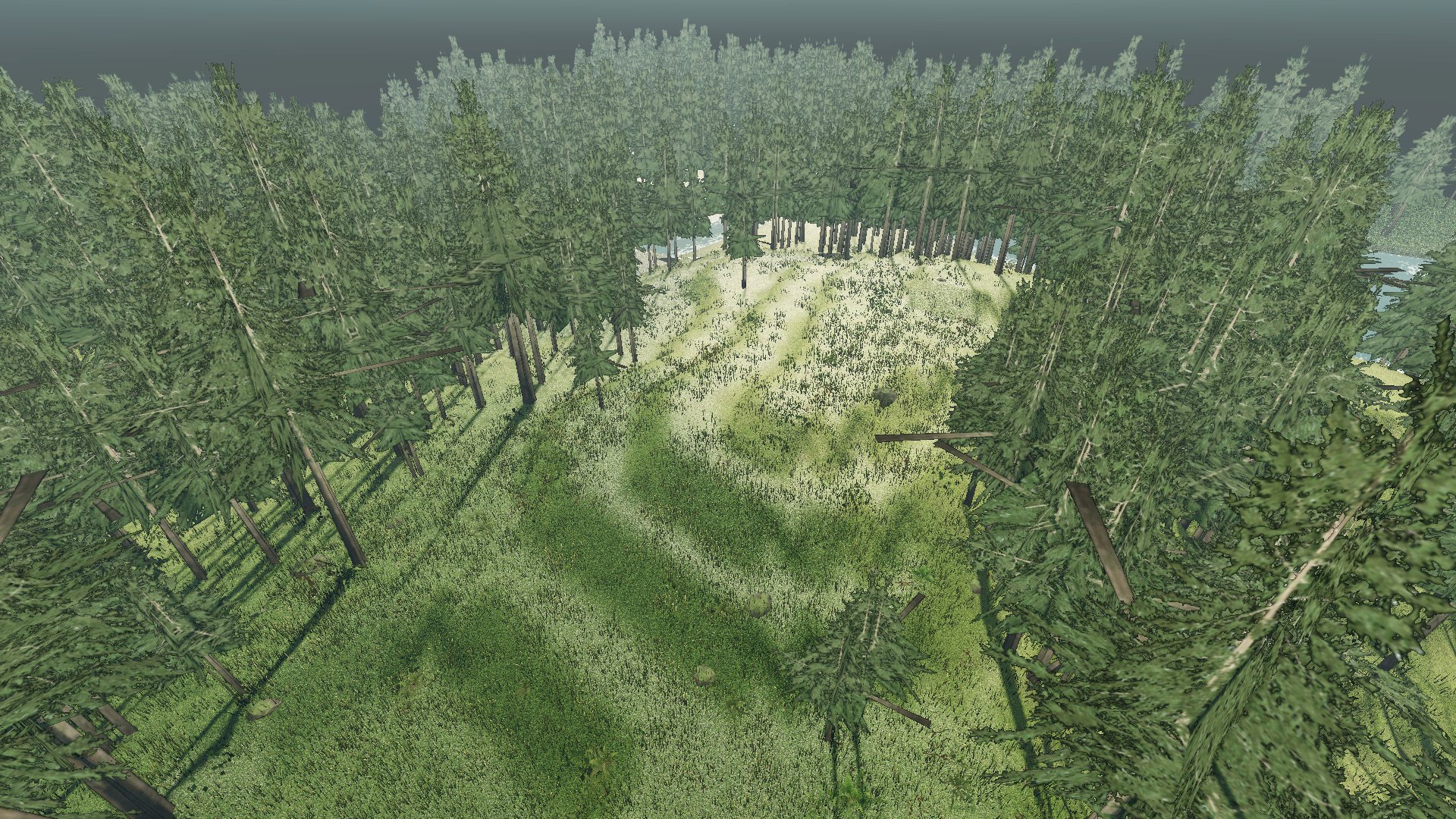In-game capture (Med quality): alternate aerial view over forest and valley, HUD hidden